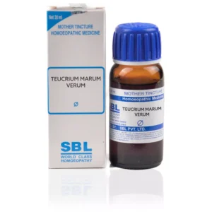 SBL Teucrium Marum Verum 1X Q