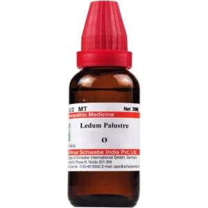 Willmar Schwabe India Ledum palustre 1X Q
